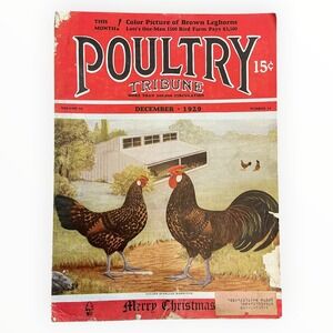 Poultry Tribune Magazine December 1929 Christmas Golden Spangled Hamburgs Farm